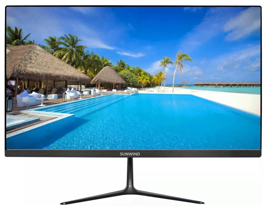 Монитор SunWind SUN-M22BA102 21.5", черный в Москве-0